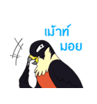 Raptors of Thailand（個別スタンプ：28）