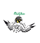 Raptors of Thailand（個別スタンプ：32）