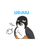 Raptors of Thailand（個別スタンプ：35）