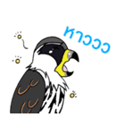 Raptors of Thailand（個別スタンプ：39）