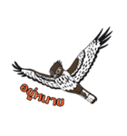 Raptors of Thailand（個別スタンプ：40）