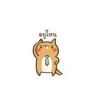 Curious Doge（個別スタンプ：1）