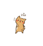 Curious Doge（個別スタンプ：4）
