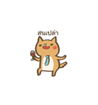 Curious Doge（個別スタンプ：8）