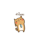 Curious Doge（個別スタンプ：9）