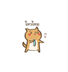 Curious Doge（個別スタンプ：17）