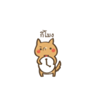 Curious Doge（個別スタンプ：22）