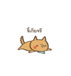 Curious Doge（個別スタンプ：31）