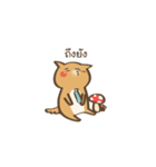 Curious Doge（個別スタンプ：38）