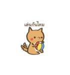 Curious Doge（個別スタンプ：40）