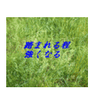 気持ちと風景（個別スタンプ：2）