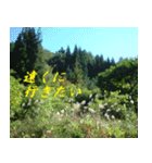 気持ちと風景（個別スタンプ：12）