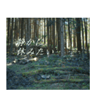 気持ちと風景（個別スタンプ：14）