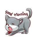 Gembul The Persian Cat（個別スタンプ：2）