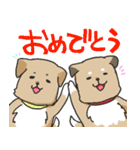 雑種犬スタンプ（個別スタンプ：3）