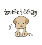 雑種犬スタンプ（個別スタンプ：5）