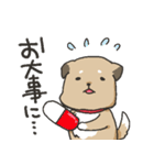 雑種犬スタンプ（個別スタンプ：10）