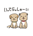 雑種犬スタンプ（個別スタンプ：12）