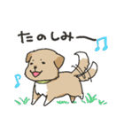 雑種犬スタンプ（個別スタンプ：15）