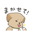 雑種犬スタンプ（個別スタンプ：27）