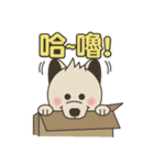 柴犬の赤ちゃん（個別スタンプ：1）