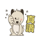 柴犬の赤ちゃん（個別スタンプ：6）