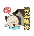 柴犬の赤ちゃん（個別スタンプ：8）