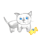 I'm cat not koala（個別スタンプ：1）