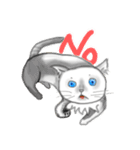 I'm cat not koala（個別スタンプ：4）