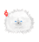 I'm cat not koala（個別スタンプ：19）