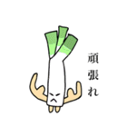 野菜小僧（個別スタンプ：33）