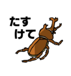 カブトムシ＆クワガタスタンプ（日常ver）（個別スタンプ：10）