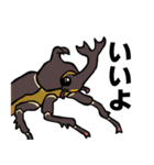 カブトムシ＆クワガタスタンプ（日常ver）（個別スタンプ：11）