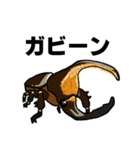カブトムシ＆クワガタスタンプ（日常ver）（個別スタンプ：17）