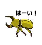 カブトムシ＆クワガタスタンプ（日常ver）（個別スタンプ：18）