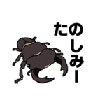 カブトムシ＆クワガタスタンプ（日常ver）（個別スタンプ：21）