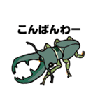 カブトムシ＆クワガタスタンプ（日常ver）（個別スタンプ：24）