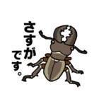 カブトムシ＆クワガタスタンプ（日常ver）（個別スタンプ：29）
