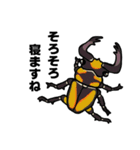 カブトムシ＆クワガタスタンプ（日常ver）（個別スタンプ：39）
