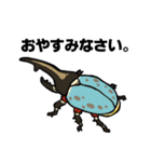 カブトムシ＆クワガタスタンプ（日常ver）（個別スタンプ：40）