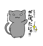 ついついアホって言っちゃうにゃんこ（個別スタンプ：24）