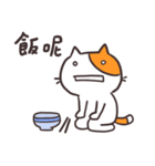 Shocked Cat（個別スタンプ：24）