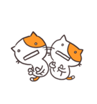 Shocked Cat（個別スタンプ：28）