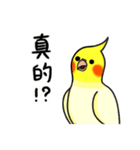 Lovely Parrot（個別スタンプ：4）