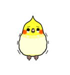 Lovely Parrot（個別スタンプ：11）