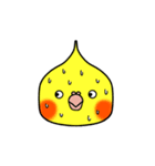 Lovely Parrot（個別スタンプ：24）