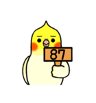 Lovely Parrot（個別スタンプ：27）
