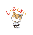 はなまる太郎（個別スタンプ：5）