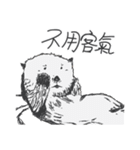The bad sea otter（個別スタンプ：33）