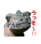 こまいぬランド Vol.1（個別スタンプ：11）